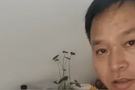 电动车电池修复，端电压比较低，加一点硫酸，提高端电压。视频封面