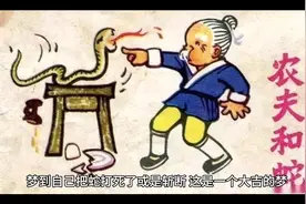 梦到打死蛇，被蛇追，被蛇缠身，解梦