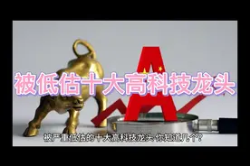 被严重低估的十大高科技龙头，你知道几个？视频封面