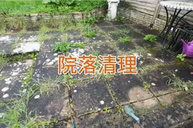 令人心情愉悦的院落清理过程