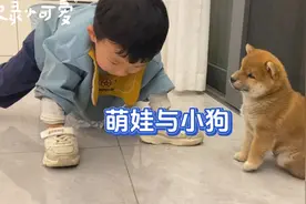 人类幼崽与狗狗幼崽的快乐生活！养一只小狗陪孩子一起长大！✌️