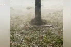 # 重庆强降雨加冰雹来袭 永川局地暴雨...