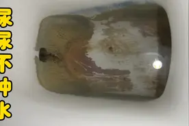 半夜尿尿不冲水的马桶都病了，三天堵两回，一个锤子解决问题视频封面