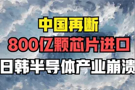 中国再断800亿颗芯片进口，日韩半导体产业崩溃！视频封面