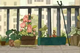 《蘑菇》完整版