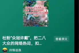 杜粉“众冠许戴”把二八大众热词，统统扣在许敏头上，意欲何为？视频封面