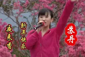 星光大道大美女苏丹经典歌曲三首联唱视频封面