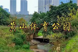黄山体育公园，还隐藏着一座上百年历史的古桥，就在中央公园西侧视频封面
