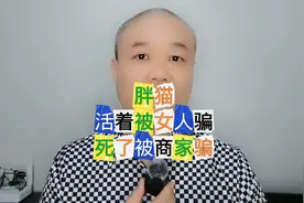胖猫恋爱两年：只见过两次面，花了51万！视频封面