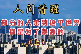 人间清醒：大部分的人来到这个世界都是为了凑数的（上）视频封面
