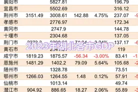 2023年湖北各市GDP：全省多市第四季度负增长。视频封面