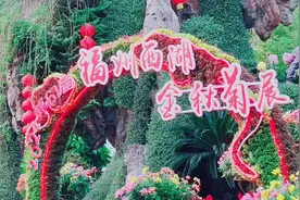 福州西湖第61届菊花展于2024年11月2日正式开展。视频封面