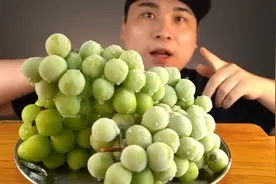 沉浸式吃播｜韩国小哥吃葡萄🍇
