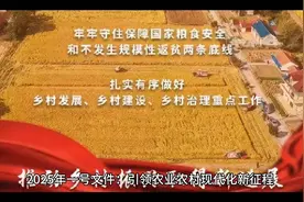 2025中央一号文件解析：农业农村现代化步伐视频封面