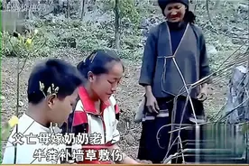 父亲病逝母亲改嫁，苦命姐弟与奶奶相依为命，坟前一席话让人泪目视频封面