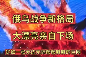 大变局03 俄乌战争 大漂亮策湖小乌偷袭大毛熊得手 大熊猫思考视频封面
