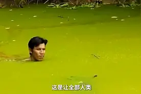 人类不敢踏足的生命禁地！亚马逊雨林，究竟隐藏了哪些恐怖的生物视频封面