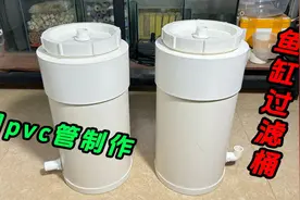 用PVC管，自己DIY鱼缸过滤桶，完全不比大几百的差视频封面