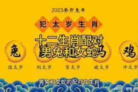 十二生肖配对男兔和女蛇视频封面