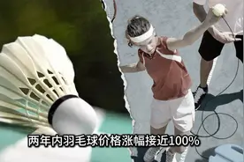 为什么羽毛球越来越贵？涨价速度比黄金还猛！你平时会打羽毛球吗视频封面