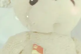 小熊找主人视频封面