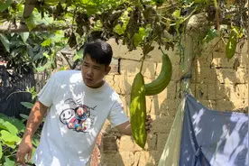 简单的一天，简单的一餐，这也太简单了