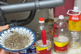 家里很多蚂蚁不要慌！教你一招，不用杀虫剂，1天家中蚂蚁全消失视频封面