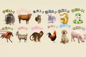 十二生肖为什么鼠第一视频封面