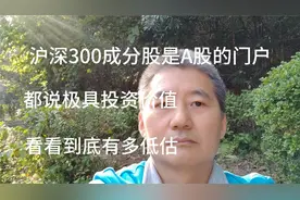 沪深300成分股投资价值分析视频封面