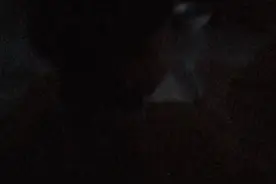 过生日了视频封面