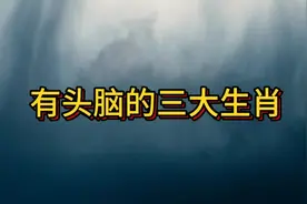 有头脑的三大生肖视频封面