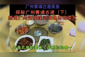 探秘广州黄埔古港（下）
感受广州海岸线沧海桑田的变化视频封面