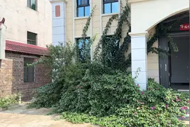 农村的房子建得不错，生活越来越好！视频封面