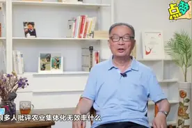 许小年：土地公有制和集体化低效，当时贫下中农觉悟性不高！驳斥视频封面