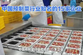 中国预制菜行业知名的15家企业！视频封面