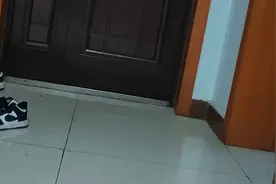 猫咪会在门口迎接你回家