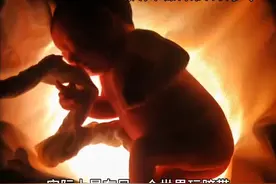 第一次听说什么叫撮空理线循衣摸床，看完真的破防了！