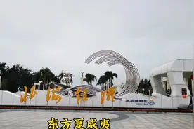 想你的风吹到了北海视频封面