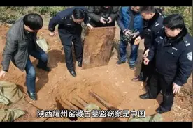 陕西耀州窑藏古墓盗窃案视频封面