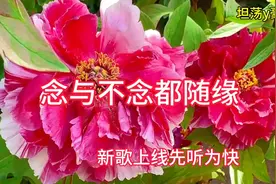 谁的爱情没有遗憾虽然不能相互陪伴也要心怀感激走向明天！视频封面