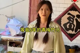 青梅竹马在农村等了我五年，这次我不会让她再输了……视频封面