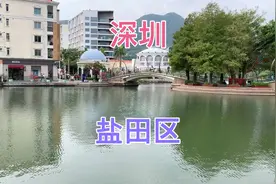 深圳盐田区：深圳最没存在感的区，但人均gdp却在20万元以上。视频封面