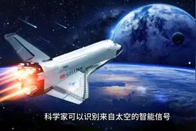 人与鲸鱼实现对话视频封面