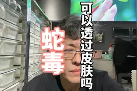 蛇毒可以穿透皮肤导致中毒吗？视频封面