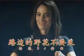 热门DJ舞曲《路边的野花不要采》经典劲爆车载音乐-邓丽君