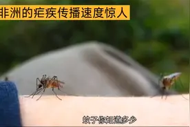 非洲蚊子危害：疟疾让生活陷入困境
