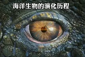 滑齿龙狩猎蛇颈龙被利兹鱼打晕，克柔龙取代其生态位，沧龙称霸！