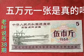 我来告诉你老粮票在古玩市场的真实价格视频封面