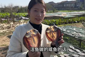 在做农产品这件事上，我一直很认真，相信时间会给所有的坚持回响视频封面