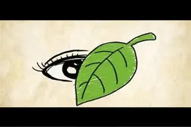 Ding#简单的活着